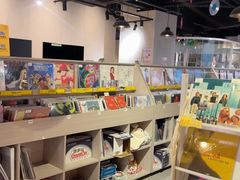 -浣熊唱片店(上海影城店)