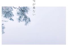 -四明山国家森林公园