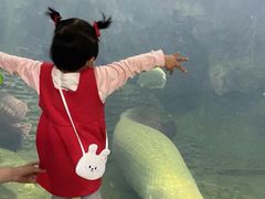 -青青世界