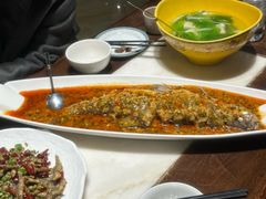 豆瓣翘壳鱼-鱼凫人家