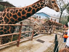 -西安秦岭野生动物园