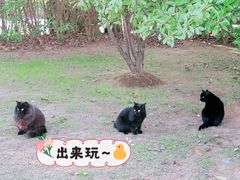 -南京市江宁方山