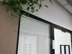 -引领英语·成人口语·雅思托福