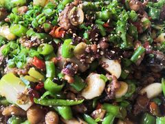 -潼南太安名鱼•特色江湖菜 太安鱼