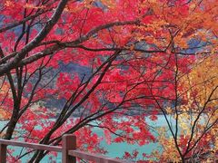 -叠溪松坪沟景区