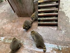 -杭州野生动物世界