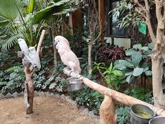 -南宫五洲植物乐园