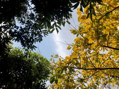 -西南政法大学(渝北校区)