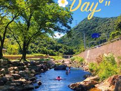 -北仑森林植物园