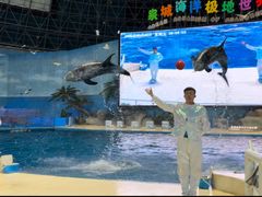 -泉城欧乐堡海洋极地世界