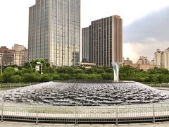 -大宁郁金香公园-停车场