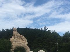 -帽儿山国家森林公园