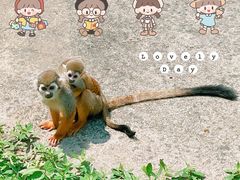 -上方山森林动物世界