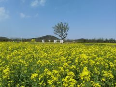 -南北湖风景区