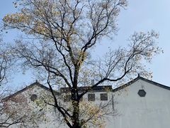 -老门东历史文化街区