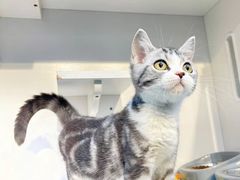 -萌兽医馆·眼科·异宠专科(三里屯店)