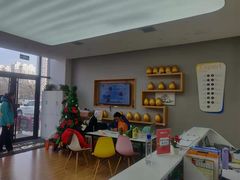 -金色雨林学习力培优(专注力提升)