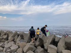 -南汇嘴观海公园