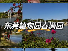 -东莞植物园