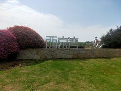 -西京湾花海