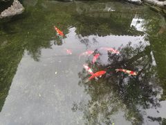 -驿舍·民國老营房院子私房菜(科学会堂店)