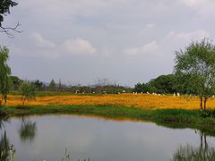 -良渚古城遗址公园