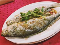 -蛇口康乐快餐鱼仔档(翠苑小区店)