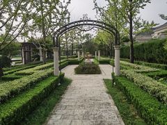 -天伦里餐厅(绿城桃花源店)
