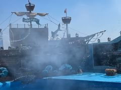 -海合安青岛极地海洋公园