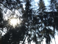 -马銮湾景区