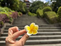 -长安公园