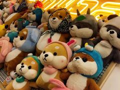 -豆柴町-柴犬主题狗咖(红鼎国际C座店)