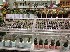 -KKV(深圳宏发大仟里店)