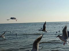 -金梦海湾浴场