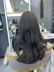 -藤野造型