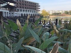 -水月周庄铂尔曼酒店-水月荟中餐厅