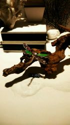 -北京七彩云南翡翠珠宝旗舰店(月坛店)