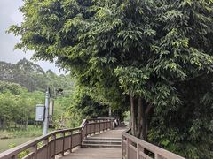 -广东花都湖国家湿地公园