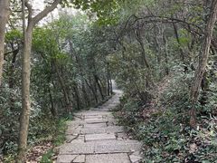 -杭州半山国家森林公园