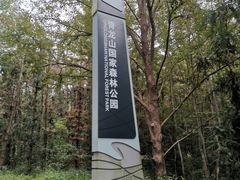 -青龙山国家森林公园