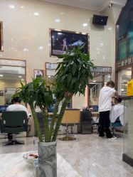 -SOLO Hair Salon