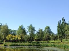 -东郊湿地公园