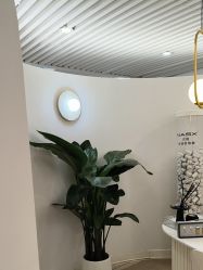 -ANNIL安奈尔·NASX超透白·科技抗衰·问题性肌肤管理