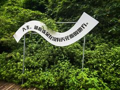 -长谷洞天