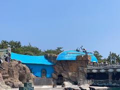 -大连老虎滩海洋公园