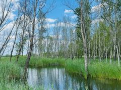 -野鸭湖国家湿地公园