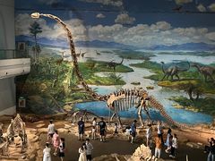 -自贡恐龙博物馆