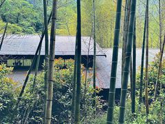 -祁门牯牛降观音堂风景区