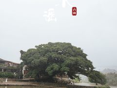 -云水谣景区