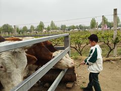 -圣露庄园·亲子活动乐园·露营·团建婚礼